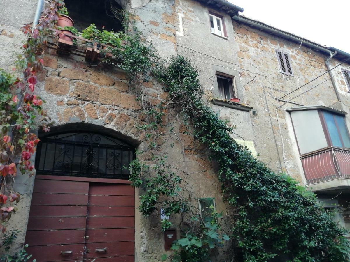 Relax Dal Caos Di Citta Apartment Barbarano Romano Exterior photo