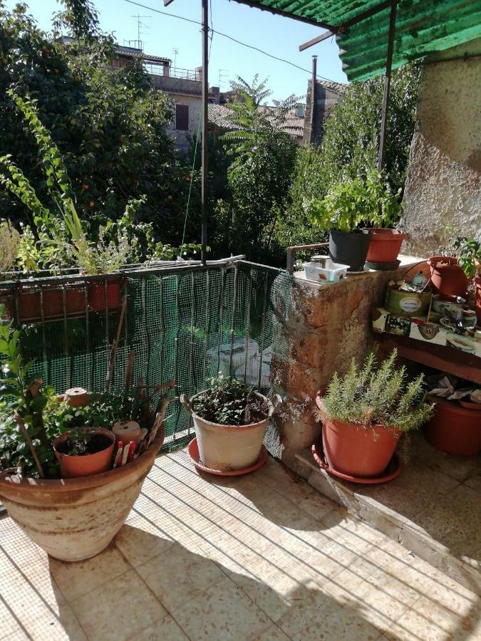 Relax Dal Caos Di Citta Apartment Barbarano Romano Exterior photo
